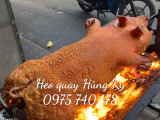 Heo Quay Cúng Khai Trương Công Ty