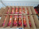 Địa chỉ mua heo sữa quay Quận 6 – Chuyên phục vụ tiệc cưới, sự kiện