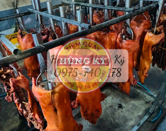 Heo Quay Cúng Tất Niên tại Hóc Môn