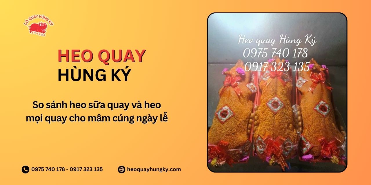 So sánh heo sữa quay và heo mọi quay cho mâm cúng ngày lễ