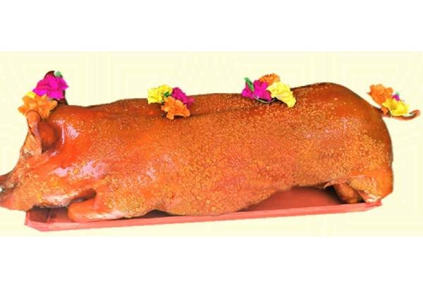 Heo Quay Lớn [ từ 15kg đến 20kg ]